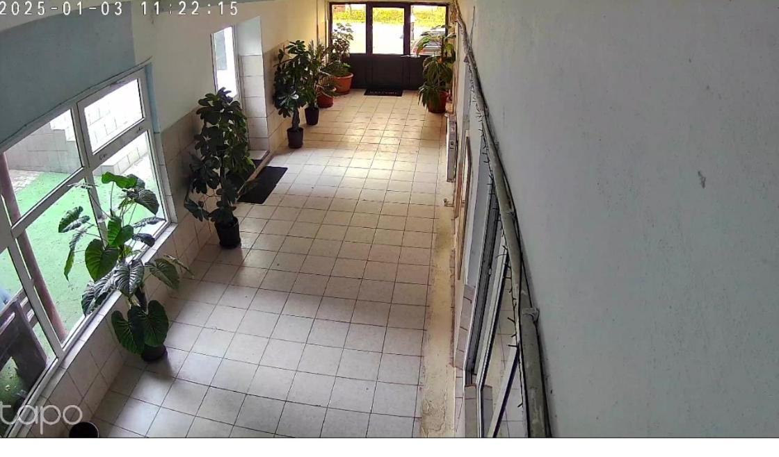 Vila Matei Schitu Extérieur photo